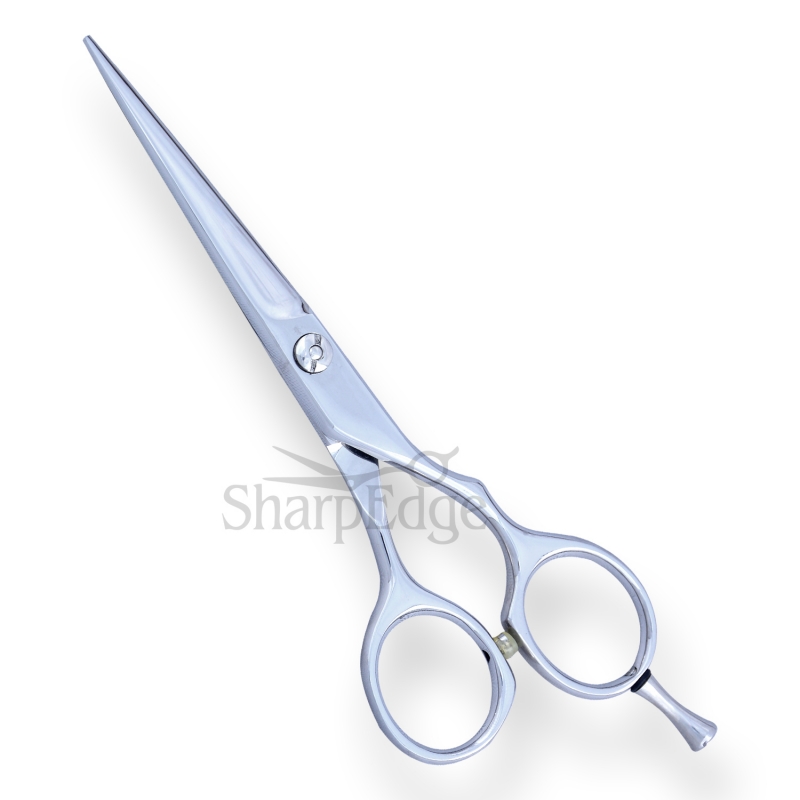 Professional Hair Dressing Scissors 